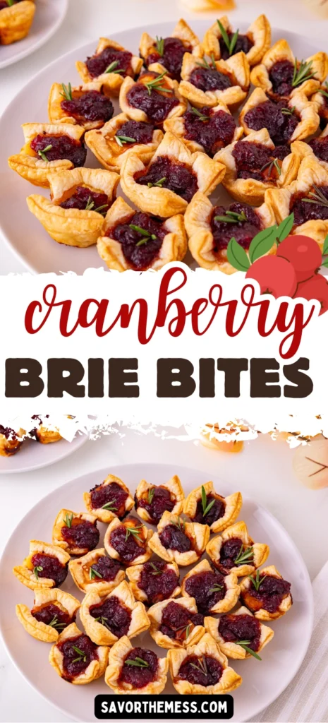 puff pastry squares with cranberry sauce and brie cheese on a white plate